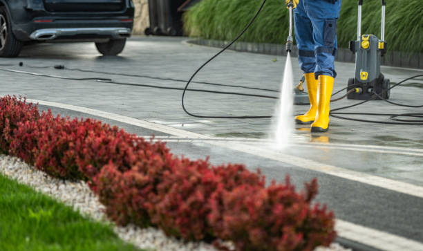 Best Roof Cleaning and Mildew Removal in Everman, TX